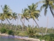 Backwaters