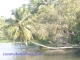 Backwaters
