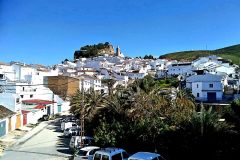Ardales