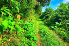 Trek Serra Branca