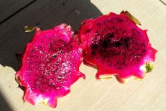 Pitaya