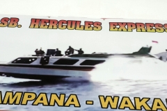 Speed boat do Wakai