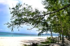 Bamboo Island